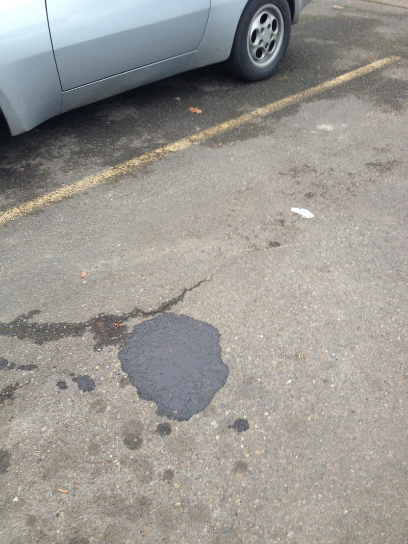 Illustration for article titled Maybe this puddle was from some car that parked there in the 40 minutes I was gone...